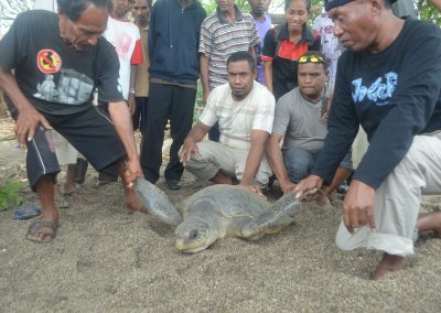 ID 00826: Desa Birawan Tetapkan Perdes Perlindungan Pesisir demi Lestarikan Terumbu Karang dan Penyu