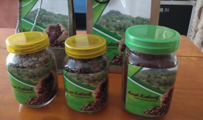 ID 00269: Desa Kaleok Kembangkan Komoditas Kopi Jadi Produk Unggulan Polewali Mandar
