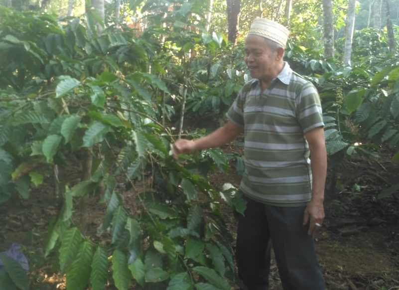 ID 00313: Kopi Lembu, Kopi Unik dan Istimewa dari Desa Susukan