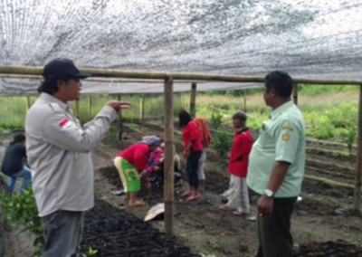 ID 00337: Desa Lae Langge Namuseng Kurangi Lahan Tidur Melalui Perubahan Jarak Tanam Kopi Arabika dengan Sistem Tumpang Sari