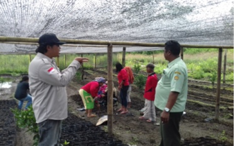 ID 00337: Desa Lae Langge Namuseng Kurangi Lahan Tidur Melalui Perubahan Jarak Tanam Kopi Arabika dengan Sistem Tumpang Sari