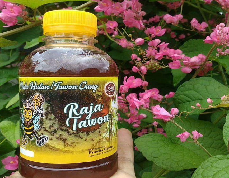 ID 00325: Prawita Garden, Integrasi Unik Lebah dan Kebun Buah di Darmakradenan