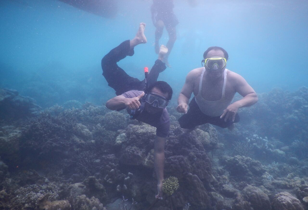 ID 00543: Desa Calabai Kembangkan Wisata Desa Lewat Konservasi Biota Laut