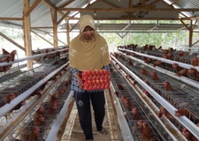 ID 00840: BUMDes Makmur Rejo Desa Bandungrejo Kembangkan Budidaya Ayam Petelur dan Raih Omset Rp 3,2 Juta per Hari
