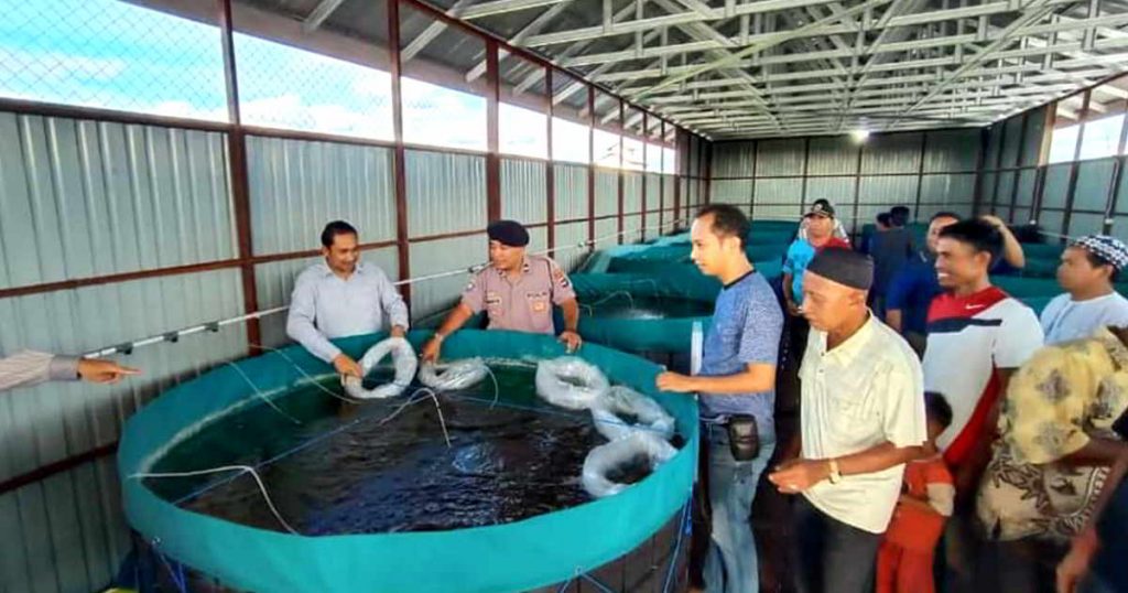 ID 00777: BUMDes Kuningan Jaya, Desa Pararain Kembangkan Usaha Budidaya Ikan dengan Bioflok