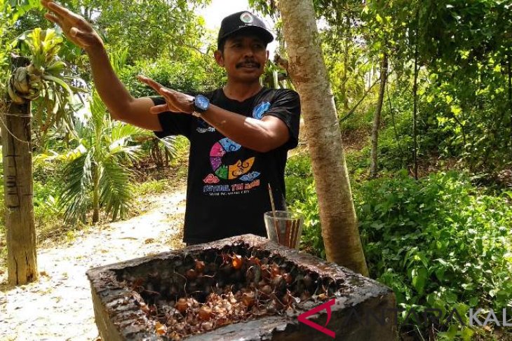 ID 00655: Pemerintah Desa Bhuana Jaya Membudidayakan Madu Kelulut Guna Meningkatkan Pendapatan Warga Serta Memperkuat Kemandirian Ekonomi Lokal