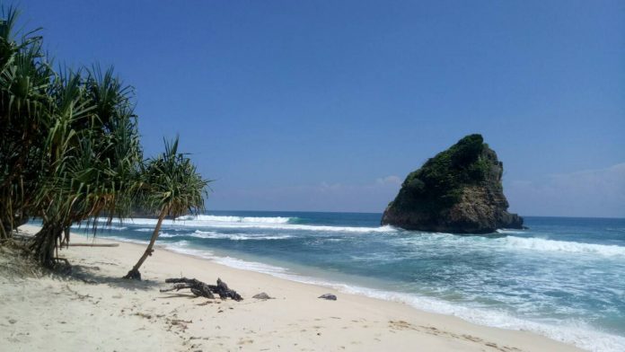 ID 00652: Pemerintah Desa Sindurejo Membangun Jalan Pantai Ngudel Untuk Menyejahterakan Masyarakat Dan Membangkitkan Ekonomi Wisata Kabupaten Malang