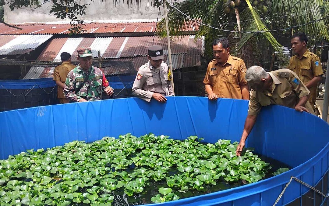 ID 00702: Inovasi Bioflok Desa Tanjung Beringin: Cara Cerdas Kelola 20 Persen Dana Desa untuk Ketahanan Pangan