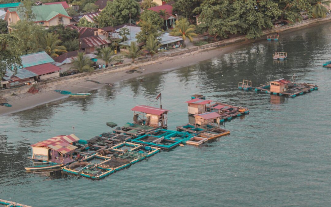 ID 00735: BUMDes Gemilang Desa Poka Mengintegrasikan Budidaya Lobster Pintar dan Wisata Bahari Guna Menggerakkan Ekonomi Pesisir Ambon