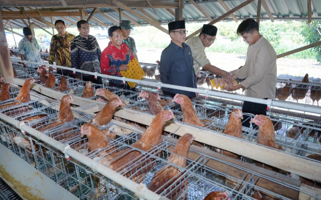 ID 00708: Pemdes Kaliwedi Kembangkan Ekosistem Ketahanan Pangan untuk Ubah Desa Tertinggal Jadi Desa Mandiri Sejahtera