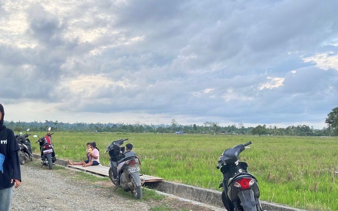 ID 00721: BUMDes Bumi Raya SP 1 Menyulap Sawah Menjadi Agrowisata Terpadu Guna Menggerakkan Kemandirian Ekonomi Nabire Papua Tengah