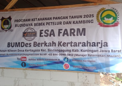 ID 00980: BUMDes Berkah Kerta Raharja Kembangkan Peternakan Bebek Petelur Tingkatkan Ketahanan Pangan dan Ekonomi Warga Kertayasa