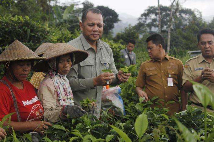 ID 00863: Desa Paninggaran Menerapkan Aglomerasi Desa dan Mendorong Pertumbuhan Ekonomi Lokal Berkelanjutan