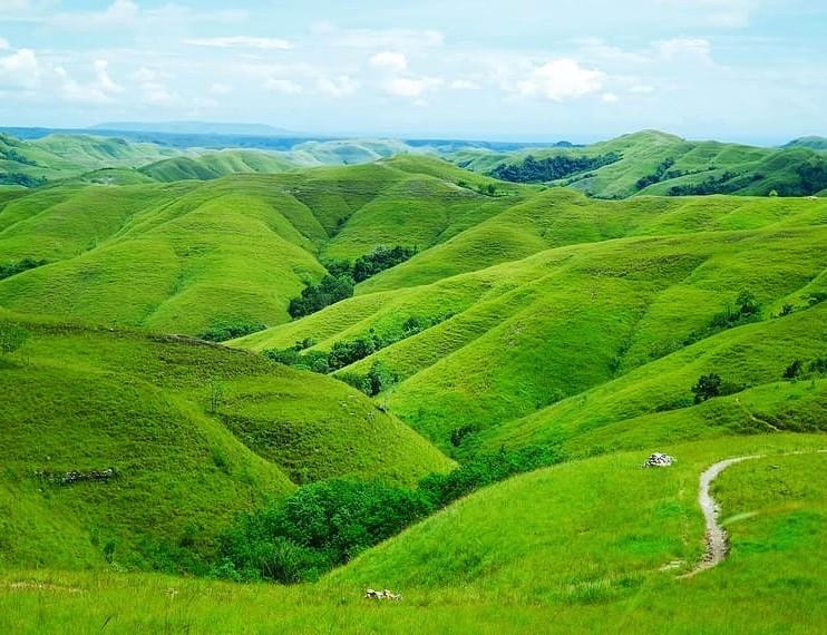 ID 00969: Desa Mondu Bangun Ekosistem Wisata Terpadu untuk Tingkatkan Kesejahteraan dan Lestarikan Budaya Sumba